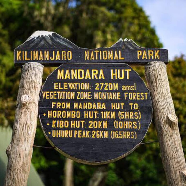 Mandara Hut