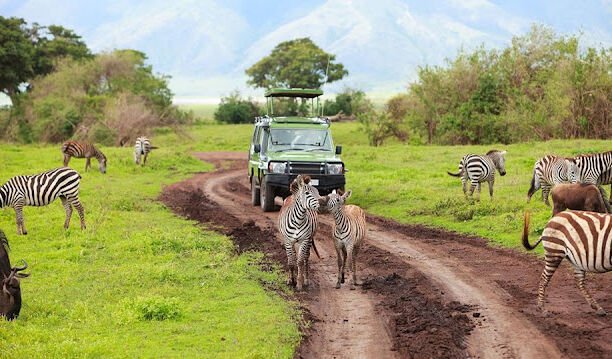 Aerial view of Ngorongoro Crater's vast volcanic caldera teeming with wildlife, 10-Day Best African Photographic Safaris