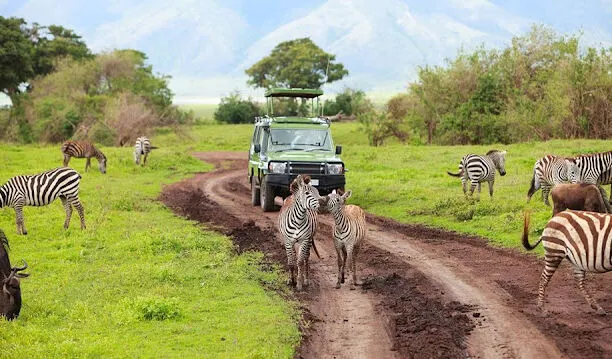 Aerial view of Ngorongoro Crater's vast volcanic caldera teeming with wildlife, 10-Day Best African Photographic Safaris