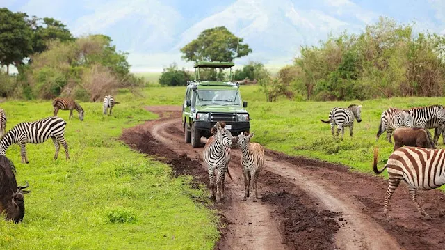 Aerial view of Ngorongoro Crater's vast volcanic caldera teeming with wildlife, 10-Day Best African Photographic Safaris