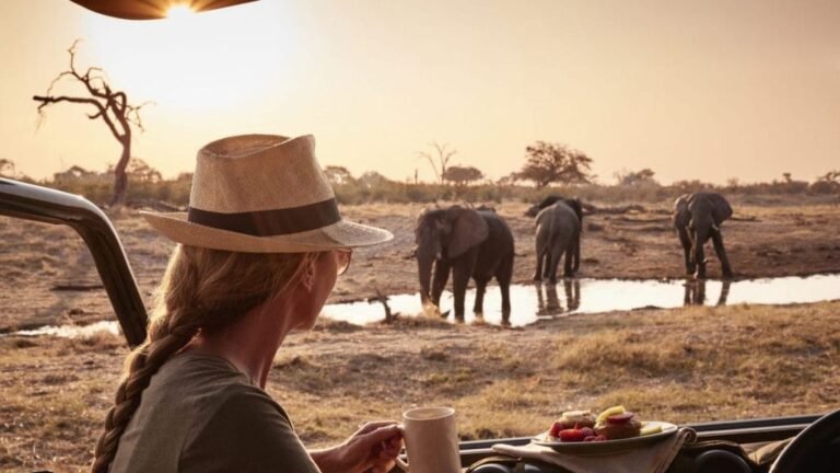 African Safaris For Families - Tanzania Safaris, Responsible Serengeti Safari, First Timer's Guide Step-by-Step to Planning your Tanzania Safari, How many Days to Spend on a Serengeti Safari? 10-Days Tanzania Budget Safari Tours.
