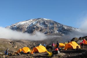 Lemosho Route 7 days Itinerary, Prices & Dates, What Is The Best Down Jacket For Climbing Kilimanjaro? 10 Reasons Why You Can't Climb Mt Kilimanjaro in a Day, Kilimanjaro Experience | Highest Mountain in Africa, Oldest Person To Climb Kilimanjaro, Best Tour Operators in Tanzania, 6 Days Shira route, How high is Mount Kilimanjaro? Everything you need to know, The 10 Biggest Misconceptions About Climbing Kilimanjaro, Do I Need a Camp Pillow for Climbing Kilimanjaro, Kilimanjaro Climb and Safari Packages, How To Prepare For Climbing Mount Kilimanjaro, Food on Kilimanjaro, Which is Harder Inca Trail or Kilimanjaro? Kilimanjaro Inspiring Stories, Natural Foods and Supplements, Kilimanjaro Books That Transport You To The Roof Of Africa, Climbing Kilimanjaro in September, Why do prices differ between Kilimanjaro tour operators?, It is Important to Find Good Footwear for Kilimanjaro, What Plants and Trees Will I See on Mount Kilimanjaro?, How To Stay Warm On The Summit Of Kilimanjaro?, What is the Best Sleeping Bag for Climbing Kilimanjaro?, Kilimanjaro Base Camp and Campsites by Route, Is Mount Kilimanjaro Easy to Climb?, Why Mount Kilimanjaro Must Be in Your Bucket List, Eight Steps to Make Climbing Kilimanjaro Easier, effective ways of preparing for Kilimanjaro climb, Kilimanjaro now has high-speed internet, Why Kilimanjaro is a Natural Wonder, Where to Stay on Machame Route, How Climbing Mount Kilimanjaro Changed Travelers’ perspective on Life?, Mount Kenya vs Kilimanjaro