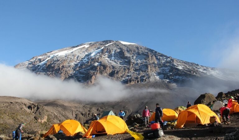 Lemosho Route 7 days Itinerary, Prices & Dates, What Is The Best Down Jacket For Climbing Kilimanjaro? 10 Reasons Why You Can't Climb Mt Kilimanjaro in a Day, Kilimanjaro Experience | Highest Mountain in Africa, Oldest Person To Climb Kilimanjaro, Best Tour Operators in Tanzania, 6 Days Shira route, How high is Mount Kilimanjaro? Everything you need to know, The 10 Biggest Misconceptions About Climbing Kilimanjaro, Do I Need a Camp Pillow for Climbing Kilimanjaro, Kilimanjaro Climb and Safari Packages, How To Prepare For Climbing Mount Kilimanjaro, Food on Kilimanjaro, Which is Harder Inca Trail or Kilimanjaro? Kilimanjaro Inspiring Stories, Natural Foods and Supplements, Kilimanjaro Books That Transport You To The Roof Of Africa, Climbing Kilimanjaro in September, Why do prices differ between Kilimanjaro tour operators?, It is Important to Find Good Footwear for Kilimanjaro, What Plants and Trees Will I See on Mount Kilimanjaro?, How To Stay Warm On The Summit Of Kilimanjaro?, What is the Best Sleeping Bag for Climbing Kilimanjaro?, Kilimanjaro Base Camp and Campsites by Route, Is Mount Kilimanjaro Easy to Climb?, Why Mount Kilimanjaro Must Be in Your Bucket List, Eight Steps to Make Climbing Kilimanjaro Easier, effective ways of preparing for Kilimanjaro climb, Kilimanjaro now has high-speed internet, Why Kilimanjaro is a Natural Wonder, Where to Stay on Machame Route, How Climbing Mount Kilimanjaro Changed Travelers’ perspective on Life?, Mount Kenya vs Kilimanjaro, Why Lemosho Route is the Best Way to Climb Kilimanjaro, Northern Circuit Route Cost, Kilimanjaro Record Breakers Climb Times And Nationalities