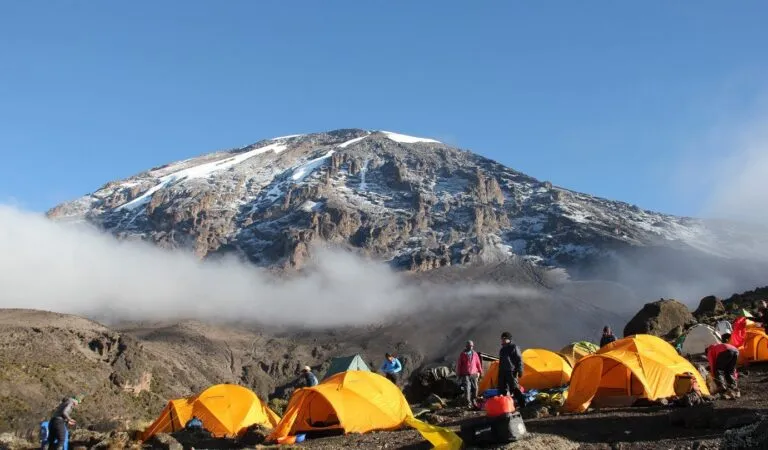 Lemosho Route 7 days Itinerary, Prices & Dates, What Is The Best Down Jacket For Climbing Kilimanjaro? 10 Reasons Why You Can't Climb Mt Kilimanjaro in a Day, Kilimanjaro Experience | Highest Mountain in Africa, Oldest Person To Climb Kilimanjaro, Best Tour Operators in Tanzania, 6 Days Shira route, How high is Mount Kilimanjaro? Everything you need to know, The 10 Biggest Misconceptions About Climbing Kilimanjaro, Do I Need a Camp Pillow for Climbing Kilimanjaro, Kilimanjaro Climb and Safari Packages, How To Prepare For Climbing Mount Kilimanjaro, Food on Kilimanjaro, Which is Harder Inca Trail or Kilimanjaro? Kilimanjaro Inspiring Stories, Natural Foods and Supplements, Kilimanjaro Books That Transport You To The Roof Of Africa, Climbing Kilimanjaro in September, Why do prices differ between Kilimanjaro tour operators?, It is Important to Find Good Footwear for Kilimanjaro, What Plants and Trees Will I See on Mount Kilimanjaro?, How To Stay Warm On The Summit Of Kilimanjaro?, What is the Best Sleeping Bag for Climbing Kilimanjaro?, Kilimanjaro Base Camp and Campsites by Route, Is Mount Kilimanjaro Easy to Climb?, Why Mount Kilimanjaro Must Be in Your Bucket List, Eight Steps to Make Climbing Kilimanjaro Easier, effective ways of preparing for Kilimanjaro climb, Kilimanjaro now has high-speed internet, Why Kilimanjaro is a Natural Wonder, Where to Stay on Machame Route, How Climbing Mount Kilimanjaro Changed Travelers’ perspective on Life?, Mount Kenya vs Kilimanjaro, Why Lemosho Route is the Best Way to Climb Kilimanjaro, Northern Circuit Route Cost, Kilimanjaro Record Breakers Climb Times And Nationalities