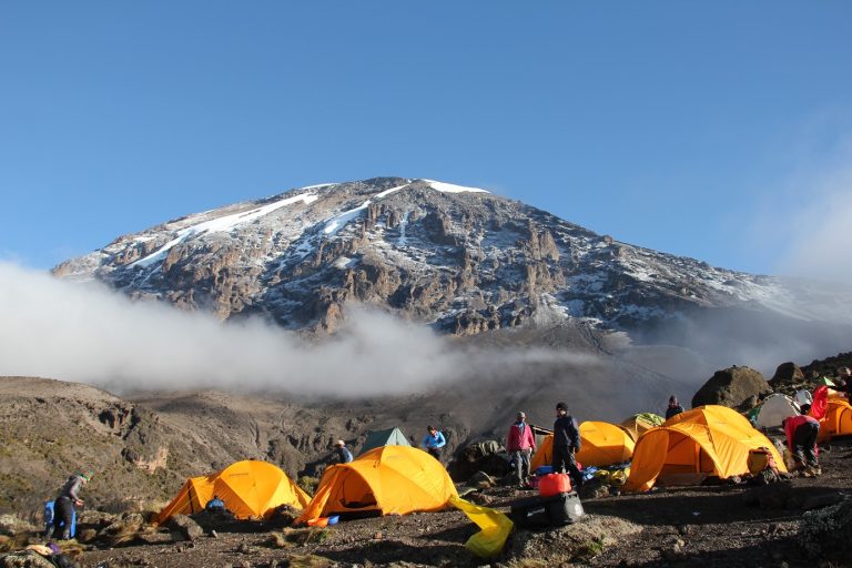 Lemosho Route 7 days Itinerary, Prices & Dates, What Is The Best Down Jacket For Climbing Kilimanjaro? 10 Reasons Why You Can't Climb Mt Kilimanjaro in a Day, Kilimanjaro Experience | Highest Mountain in Africa, Oldest Person To Climb Kilimanjaro, Best Tour Operators in Tanzania, 6 Days Shira route, How high is Mount Kilimanjaro? Everything you need to know, The 10 Biggest Misconceptions About Climbing Kilimanjaro, Do I Need a Camp Pillow for Climbing Kilimanjaro, Kilimanjaro Climb and Safari Packages, How To Prepare For Climbing Mount Kilimanjaro, Food on Kilimanjaro, Which is Harder Inca Trail or Kilimanjaro? Kilimanjaro Inspiring Stories, Natural Foods and Supplements, Kilimanjaro Books That Transport You To The Roof Of Africa, Climbing Kilimanjaro in September, Why do prices differ between Kilimanjaro tour operators?, It is Important to Find Good Footwear for Kilimanjaro, What Plants and Trees Will I See on Mount Kilimanjaro?, How To Stay Warm On The Summit Of Kilimanjaro?, What is the Best Sleeping Bag for Climbing Kilimanjaro?, Kilimanjaro Base Camp and Campsites by Route, Is Mount Kilimanjaro Easy to Climb?, Why Mount Kilimanjaro Must Be in Your Bucket List, Eight Steps to Make Climbing Kilimanjaro Easier, effective ways of preparing for Kilimanjaro climb, Kilimanjaro now has high-speed internet, Why Kilimanjaro is a Natural Wonder, Where to Stay on Machame Route, How Climbing Mount Kilimanjaro Changed Travelers’ perspective on Life?, Mount Kenya vs Kilimanjaro