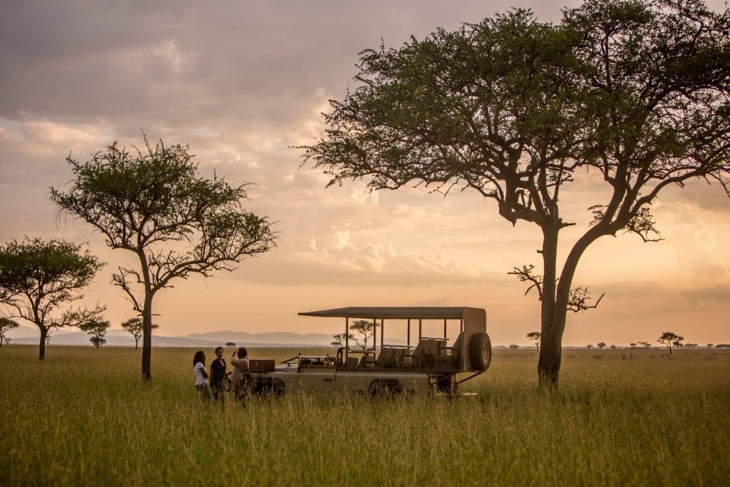 Flexible Days Around the Weather - Tanzania safari in May
