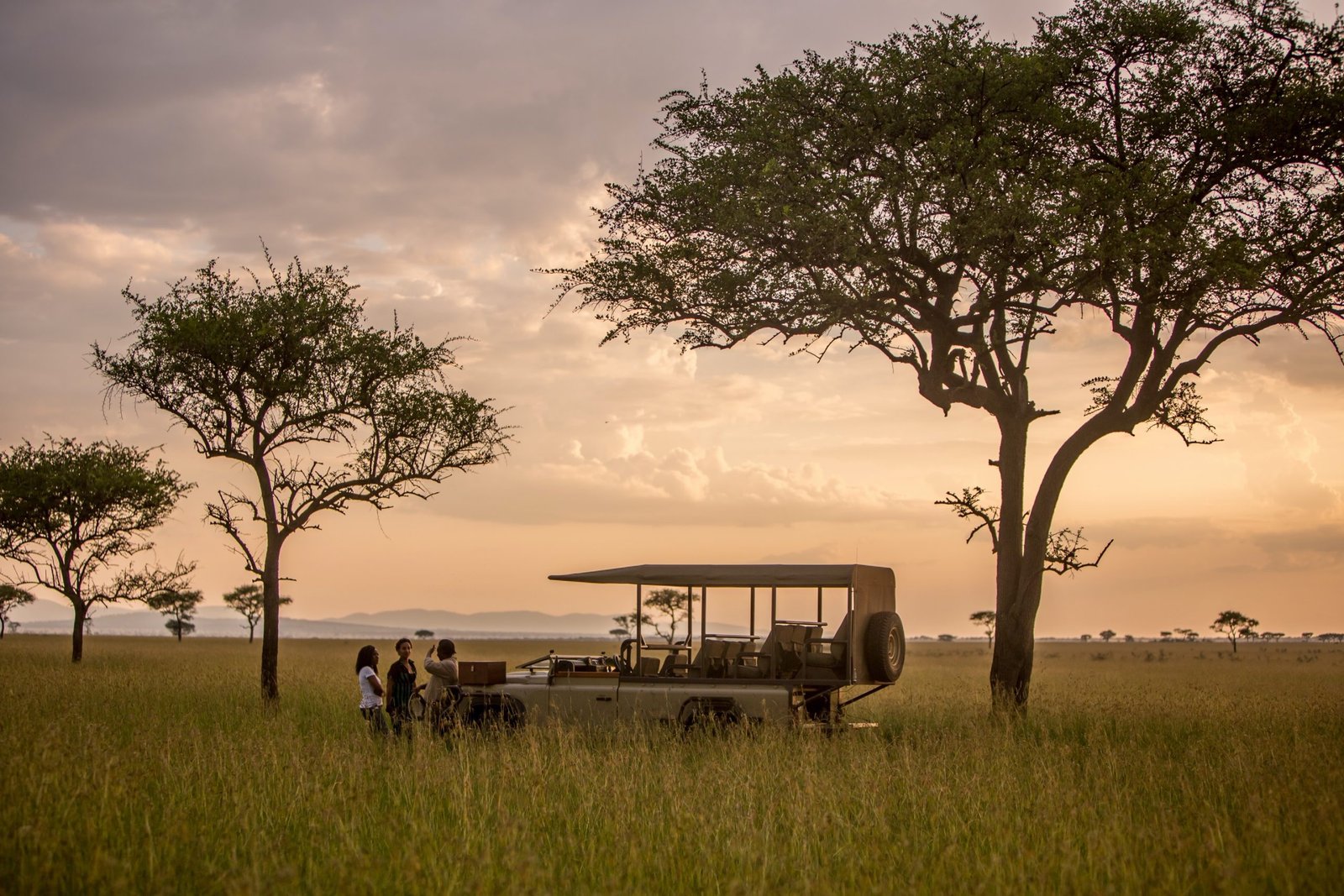 Serengeti Malaria & Safety Guide