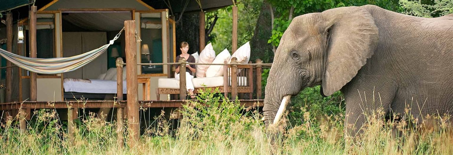 Serengeti Safari Tour Operators