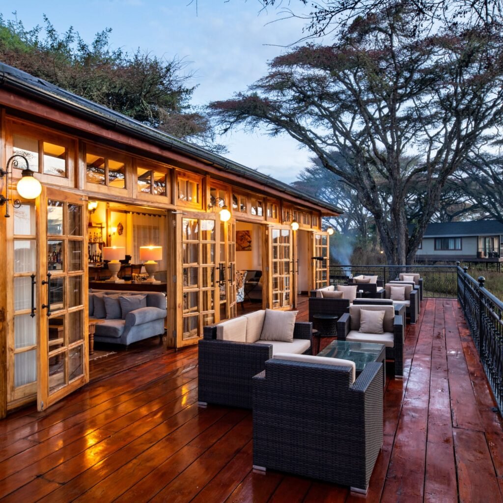 Lions, Cheetahs and Hyenas Hunting - Tanzania safari in February