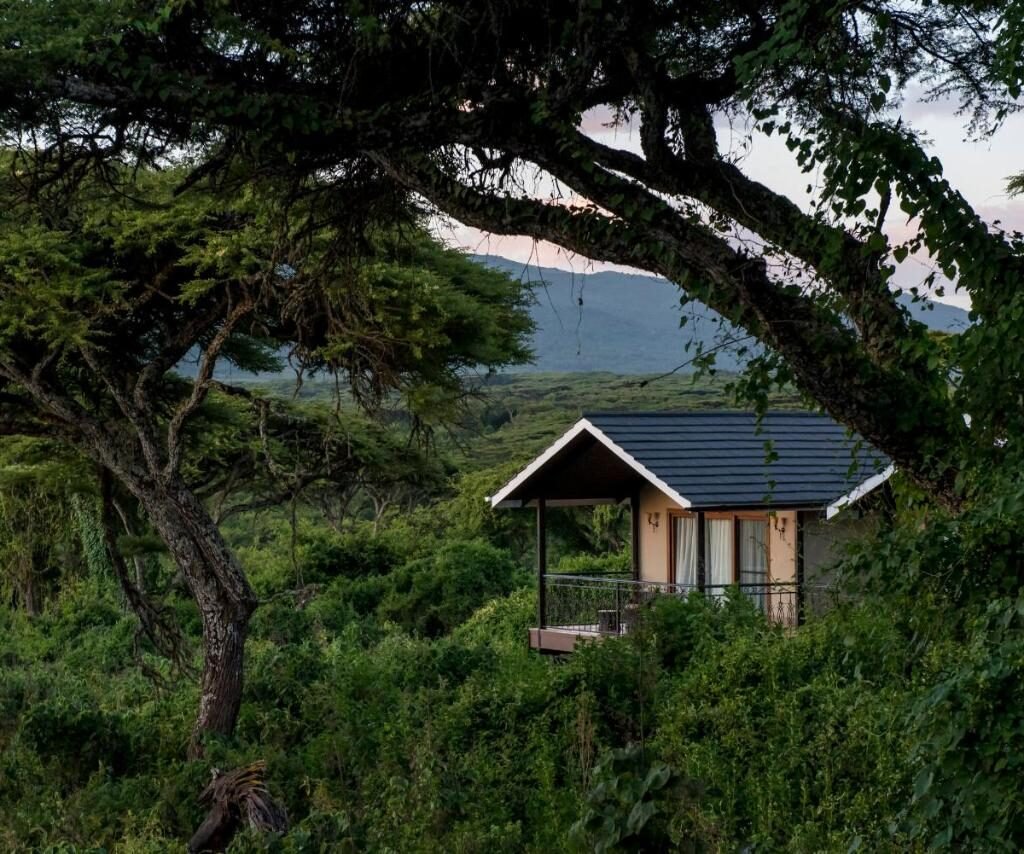 Reliable Resident Wildlife - Tanzania safari in May