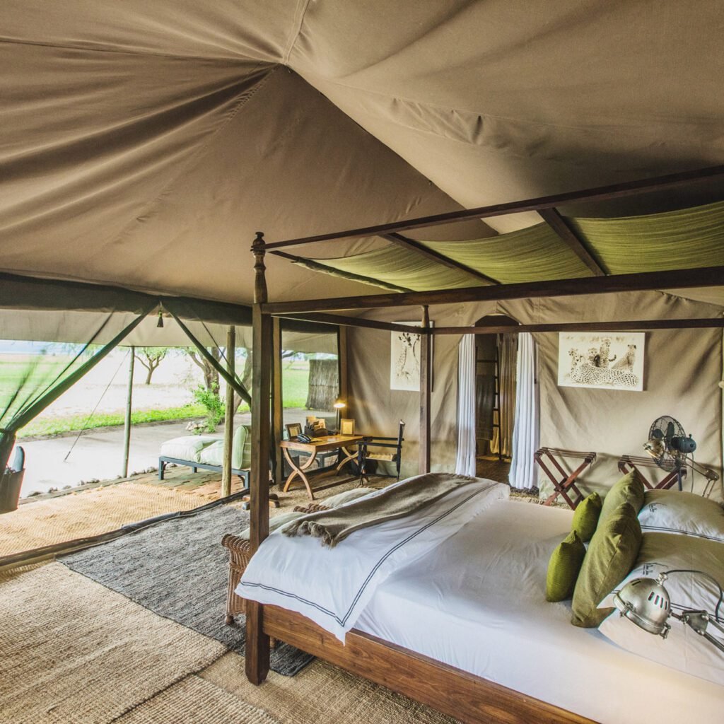Chem Chem Safari Lodge - Tanzania safari in February
