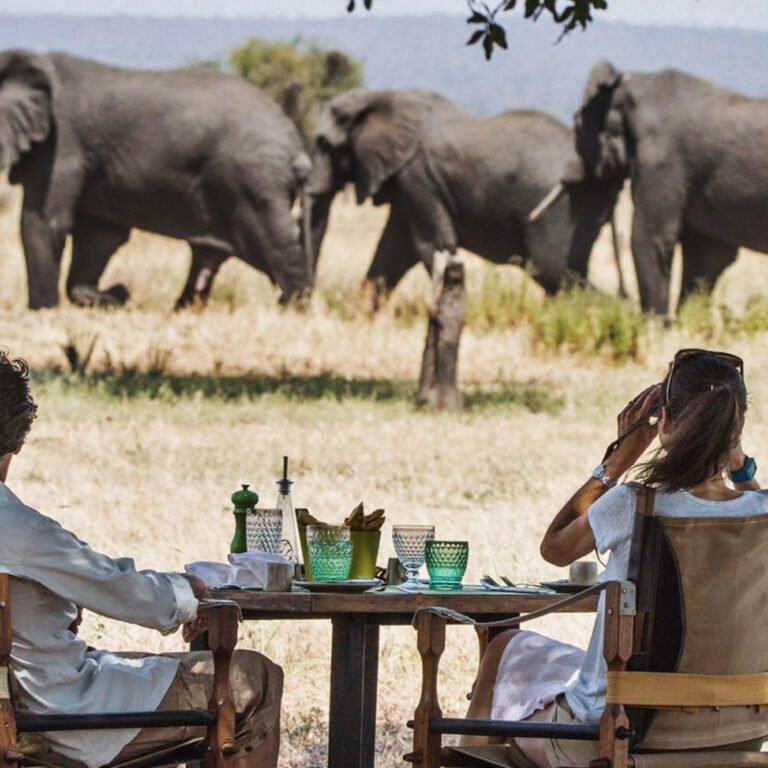 Little Chem Chem - Tarangire and Lake Manyara National Parks, Top 10 Best Places To Visit In Tanzania