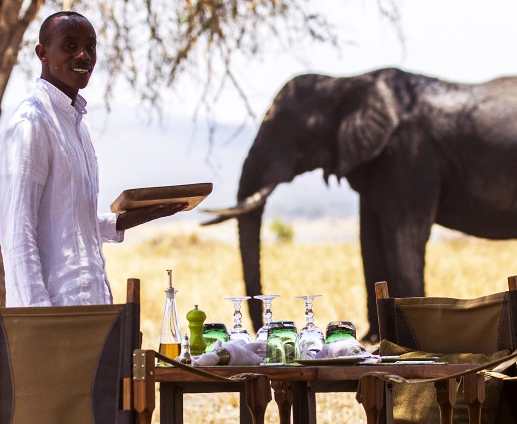 Chem Chem Safari Lodge - Tanzania safari in September