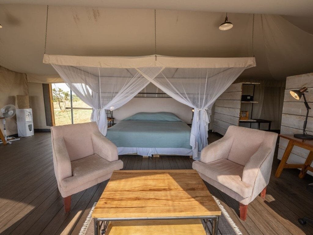 Spend Enough Nights in the North - Tanzania safari in October