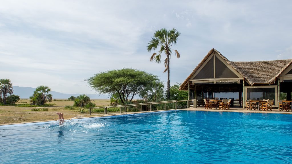 Full-Day Mara River Game Drives - Tanzania safari in August