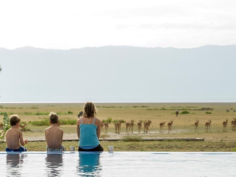 Maramboi Tented Camp | Tarangire National Park, Tanzania, Best Places to See Giraffe in Africa, Wildlife in Serengeti National Park: Animals & Wildlife in Serengeti