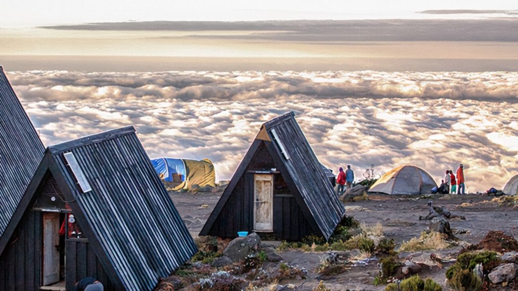 Marangu Route 5- 6 days Itinerary, Prices & Dates, Is Climbing Kilimanjaro Worth It, How Hard is it to Climb Mount Kilimanjaro? The 10 best things to do in Kilimanjaro region, The Bushland/Cultivated Zone of Mount Kilimanjaro, The Arctic Zone of Kilimanjaro, Should I Use Trekking Poles on Kilimanjaro?