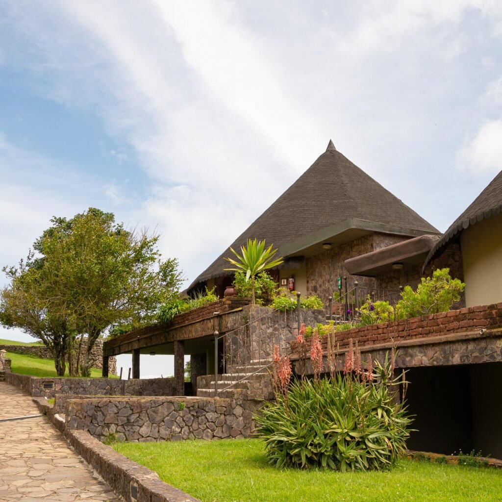 Coffee Farm Tour in Karatu - Ngorongoro Crater in October