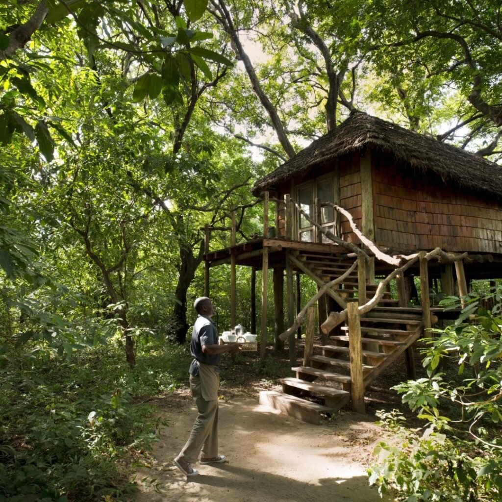 High-End Luxury Safari - Tanzania safari in June