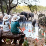 Family Safari