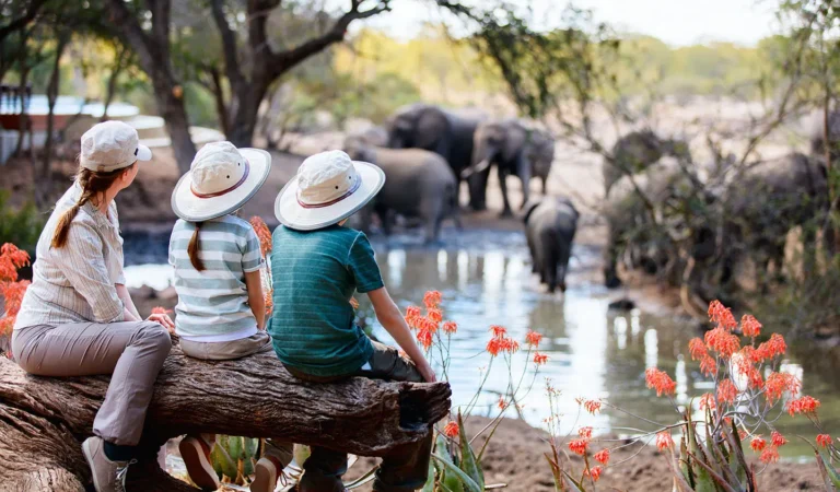 Tanzania Family Safari Packages, Best Tanzania Family Safari, 10 Day Tanzania Luxury Family Safari, Best African Family Safari Vacations & Tours 2025-2026, Tips for Planning an Africa Family Vacation, Tanzania in November, 10 Reasons To Visit East Africa For A Family Vacation, Tanzania family Safari Holidays, Luxury Tanzania Family Safaris, Family Safari Activities Your Kids Will Love, Luxury Family Holidays, considerations for families going on safari, A Guide to Tanzania Safari with Kids, Luxury Family Vacations, Best Tanzania Safari Vacations, Tours, Trips & Luxury Travel, What Is The Perfect Age For Tanzania Family Safari, How To Plan A Stress-Free Luxury Family Vacation, Best Places to Visit in Africa With Your Family, Is it safe to take kids on a safari in Tanzania?, The Best Time for a Family Safari in East Africa & for Spotting The Big 5, Unforgettable Tanzania Family Safari Packages, best times for an East African Safari, What Really Matters on a Tanzania Family Safari, Tanzania Family Safari Guide, Family Tours & Trips in Tanzania, How Young Is Too Young for Kids to Go on an African Safari?, Family Friendly Safaris in Tanzania, Reasons Tanzania Is the Ultimate Family Safari Destination, Tailor-made Tanzania family safari tours, East African family safari