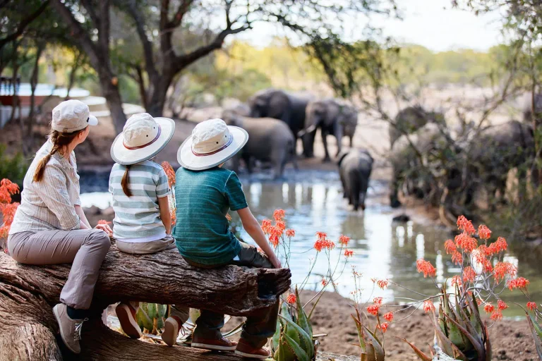 Tanzania Family Safari Packages, Best Tanzania Family Safari, 10 Day Tanzania Luxury Family Safari, Best African Family Safari Vacations & Tours 2025-2026, Tips for Planning an Africa Family Vacation, Tanzania in November, 10 Reasons To Visit East Africa For A Family Vacation, Tanzania family Safari Holidays, Luxury Tanzania Family Safaris, Family Safari Activities Your Kids Will Love, Luxury Family Holidays, considerations for families going on safari, A Guide to Tanzania Safari with Kids, Luxury Family Vacations, Best Tanzania Safari Vacations, Tours, Trips & Luxury Travel, What Is The Perfect Age For Tanzania Family Safari, How To Plan A Stress-Free Luxury Family Vacation, Best Places to Visit in Africa With Your Family, Is it safe to take kids on a safari in Tanzania?