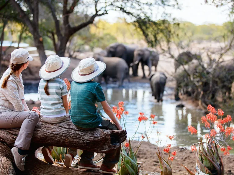 Tanzania Family Safari Packages, Best Tanzania Family Safari, 10 Day Tanzania Luxury Family Safari, Best African Family Safari Vacations & Tours 2025-2026, Tips for Planning an Africa Family Vacation, Tanzania in November, 10 Reasons To Visit East Africa For A Family Vacation, Tanzania family Safari Holidays, Luxury Tanzania Family Safaris, Family Safari Activities Your Kids Will Love, Luxury Family Holidays, considerations for families going on safari, A Guide to Tanzania Safari with Kids, Luxury Family Vacations, Best Tanzania Safari Vacations, Tours, Trips & Luxury Travel, What Is The Perfect Age For Tanzania Family Safari, How To Plan A Stress-Free Luxury Family Vacation, Best Places to Visit in Africa With Your Family, Is it safe to take kids on a safari in Tanzania?, The Best Time for a Family Safari in East Africa & for Spotting The Big 5, Unforgettable Tanzania Family Safari Packages, best times for an East African Safari, What Really Matters on a Tanzania Family Safari, Tanzania Family Safari Guide, Family Tours & Trips in Tanzania, How Young Is Too Young for Kids to Go on an African Safari?, Family Friendly Safaris in Tanzania, Reasons Tanzania Is the Ultimate Family Safari Destination, Tailor-made Tanzania family safari tours, East African family safari