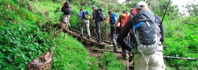 Climbing Mount Meru in Tanzania, Mount Meru Climbing, How Do I Prevent Injuries While Climbing Kilimanjaro? Can I Climb Kilimanjaro With No Training? Typical Day On Kilimanjaro, Who Should Not Climb Kilimanjaro?, How to Visit Mount Kilimanjaro without climbing to the Summit, The Heath/Moorland Zone of Mount Kilimanjaro,