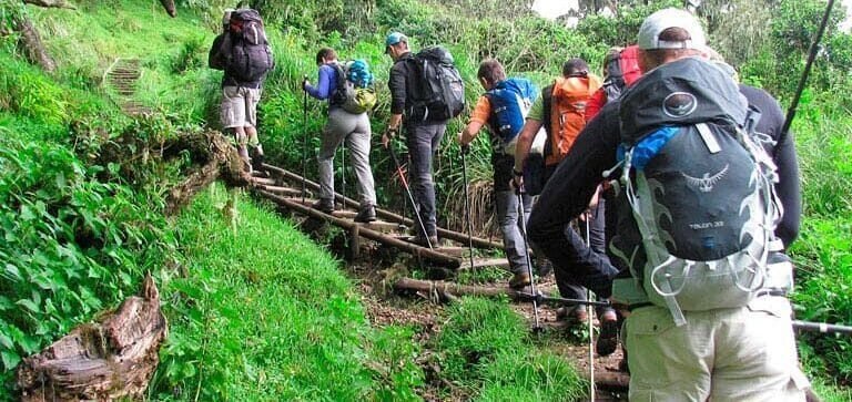 Climbing Mount Meru in Tanzania, Mount Meru Climbing, How Do I Prevent Injuries While Climbing Kilimanjaro? Can I Climb Kilimanjaro With No Training? Typical Day On Kilimanjaro, Who Should Not Climb Kilimanjaro?, How to Visit Mount Kilimanjaro without climbing to the Summit, The Heath/Moorland Zone of Mount Kilimanjaro,