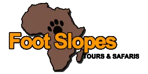 Family Safari Tours in Tanzania, African family safaris and tours, Luxury Africa Travel Agency, Tanzania safari packages, 10 Best Tanzania Safari Tours, Tanzania Luxury Safari Packages, Tanzania honeymoon Safari Packages, Tanzania family Safari Packages, Best African Safari Tour Packages, Best African Safari Tours, African Family Safari Tours, Best time to Visit Tanzania, Tanzania Safari Booking Terms and Conditions, The Ultimate Guide to Going on an African Safari, Mount Kilimanjaro climbing tour Packages