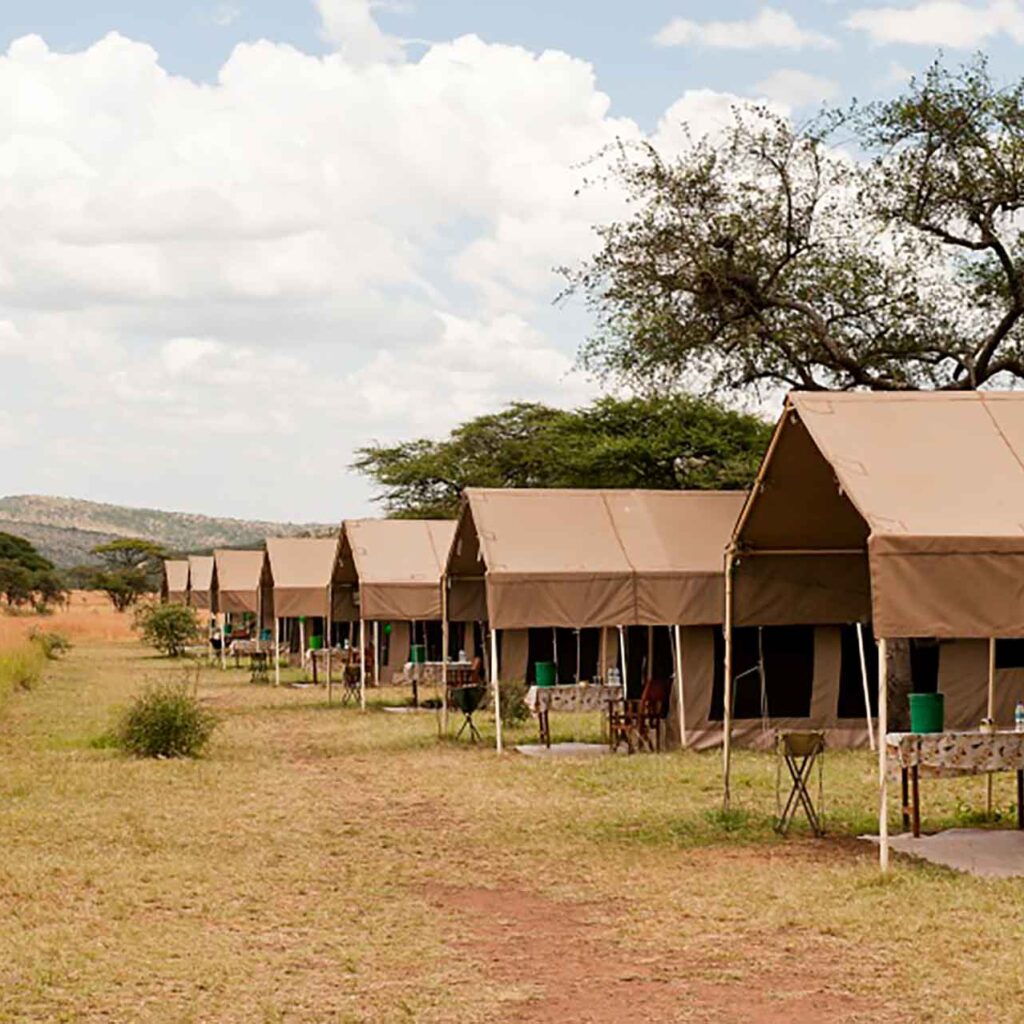 Serengeti Kati kati Tented Camp, Tanzania Glamping Experience