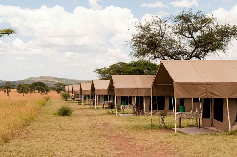Serengeti Kati kati Tented Camp, Tanzania Glamping Experience