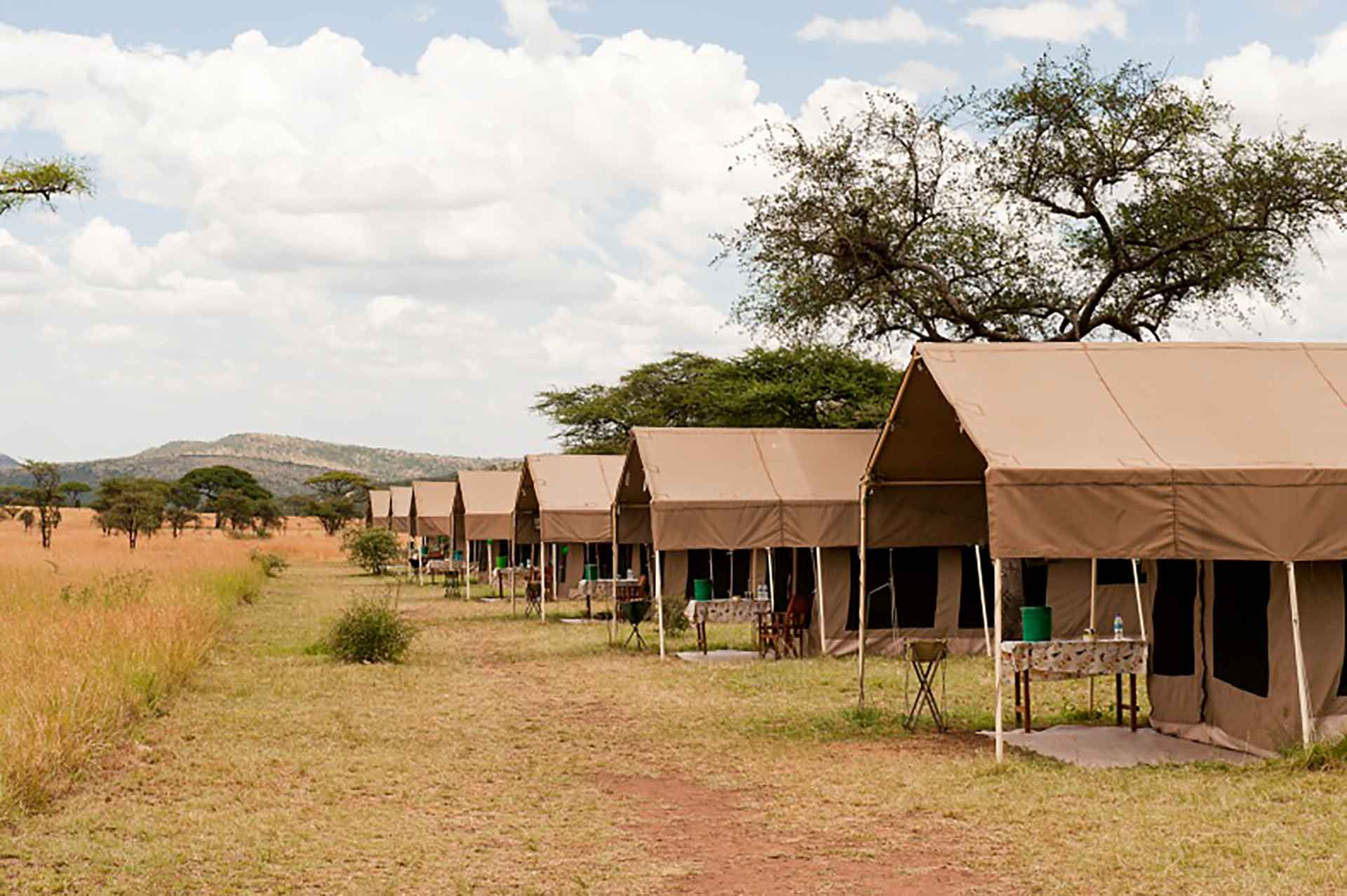 Serengeti Kati kati Tented Camp, Tanzania Glamping Experience