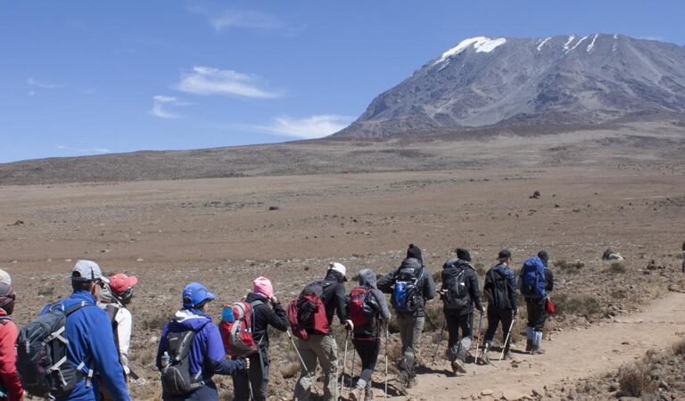 5 Days Kilimanjaro Climb Marangu Route, Climbing Mt Kilimanjaro during the rainy season, Top 10 Best Kilimanjaro Tour Companies 2021/2022/ 2023 Reviews, What Gloves Do I Need to Climb Kilimanjaro, Top Questions Everyone Asks Before Climbing Kilimanjaro, Kilimanjaro National Park Fees, Rules, and Regulations, Gertrude Benham First Woman to Summit Mount Kilimanjaro, Lemosho vs Machame: Which Kilimanjaro Route is Best for You? Things They Don’t Tell You About Climbing Kilimanjaro, Machame or Marangu? What happens to your body when you climb Kilimanjaro?