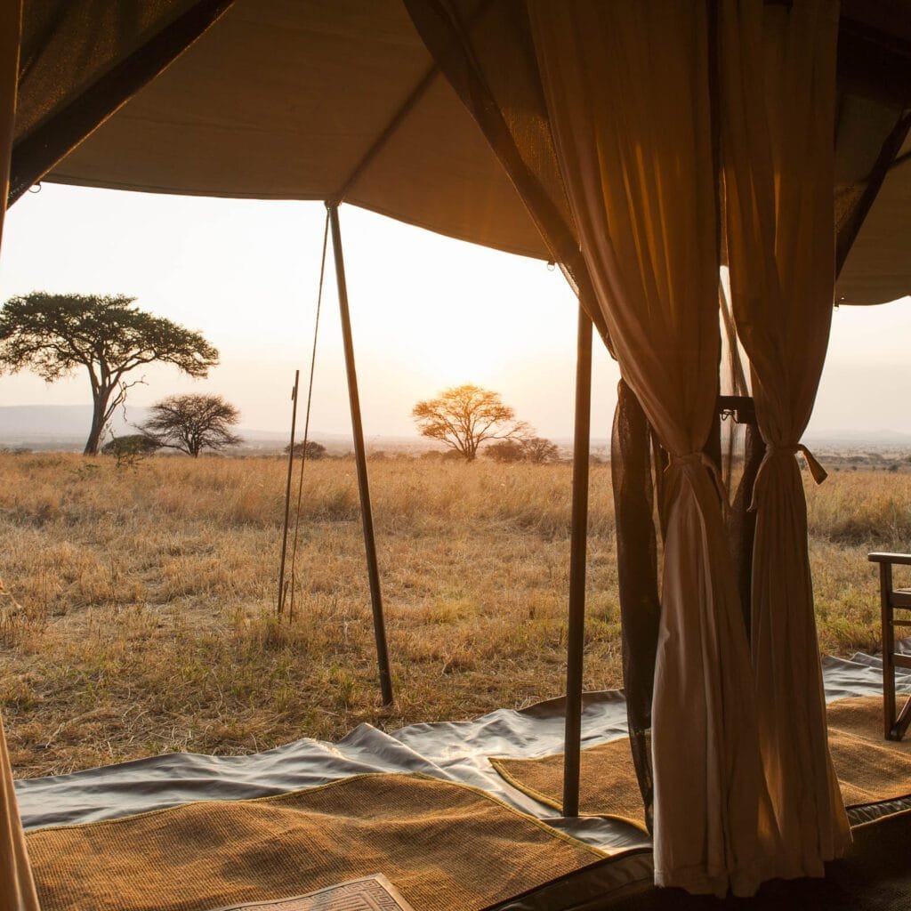 Ndutu in Early April - Tanzania safari in April