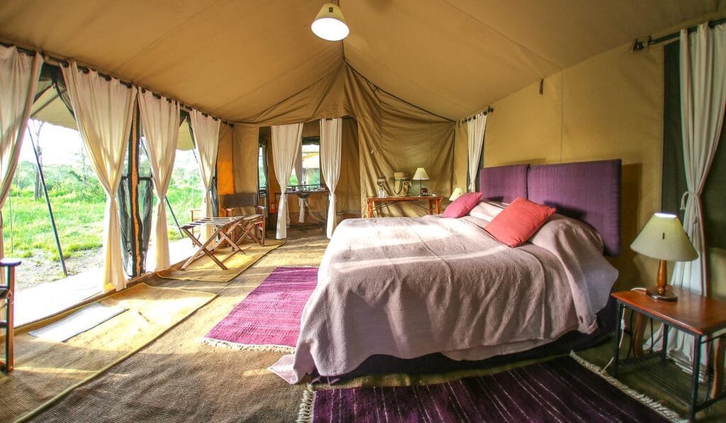 Ndutu Plains - Tanzania safari in December