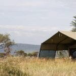 Mid-Range Safari