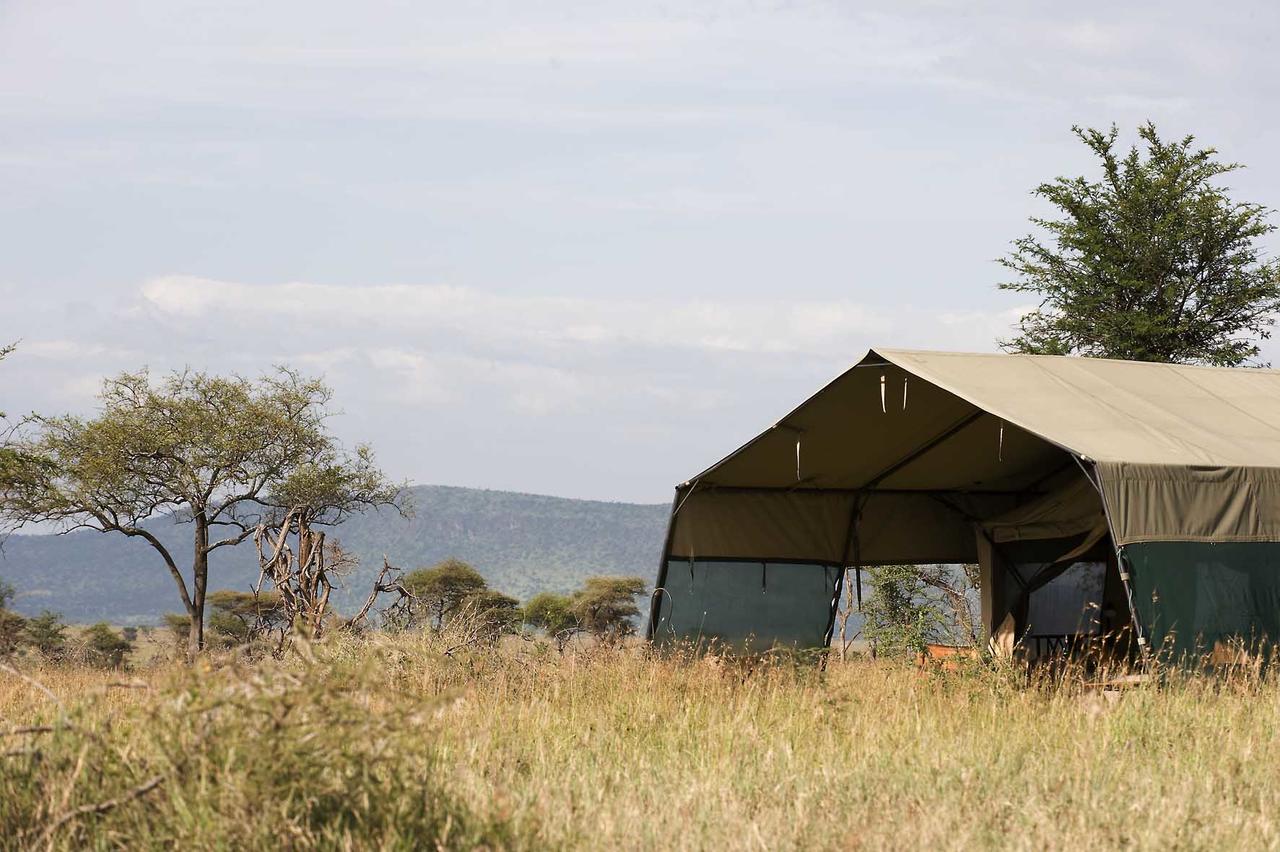 Ndutu Under Canvas, Serengeti Tanzania, Tanzania Mid Range Safari