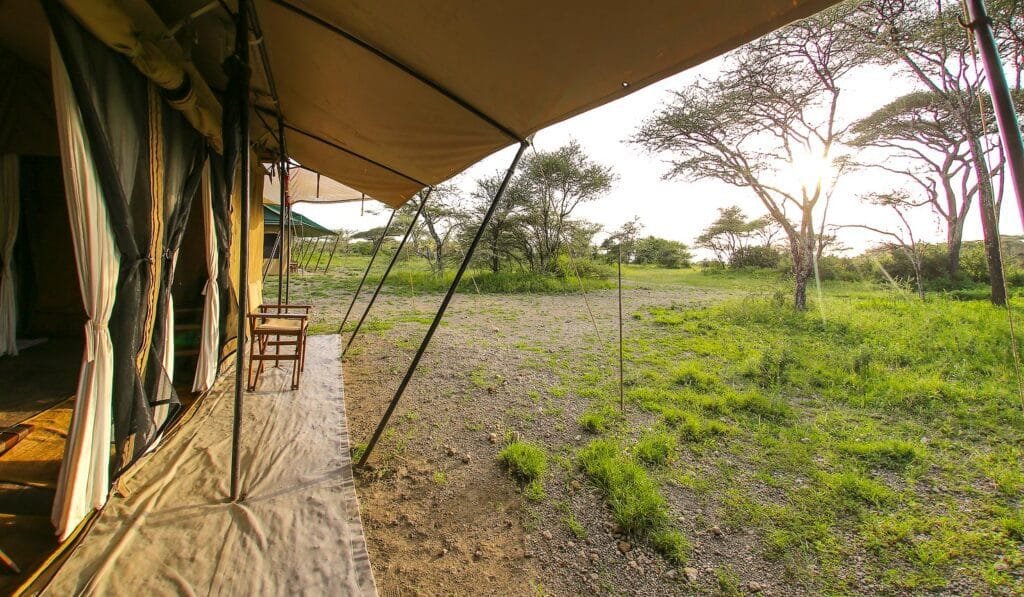 Ndutu Kati Kati Tented Camp - Tanzania safari in December
