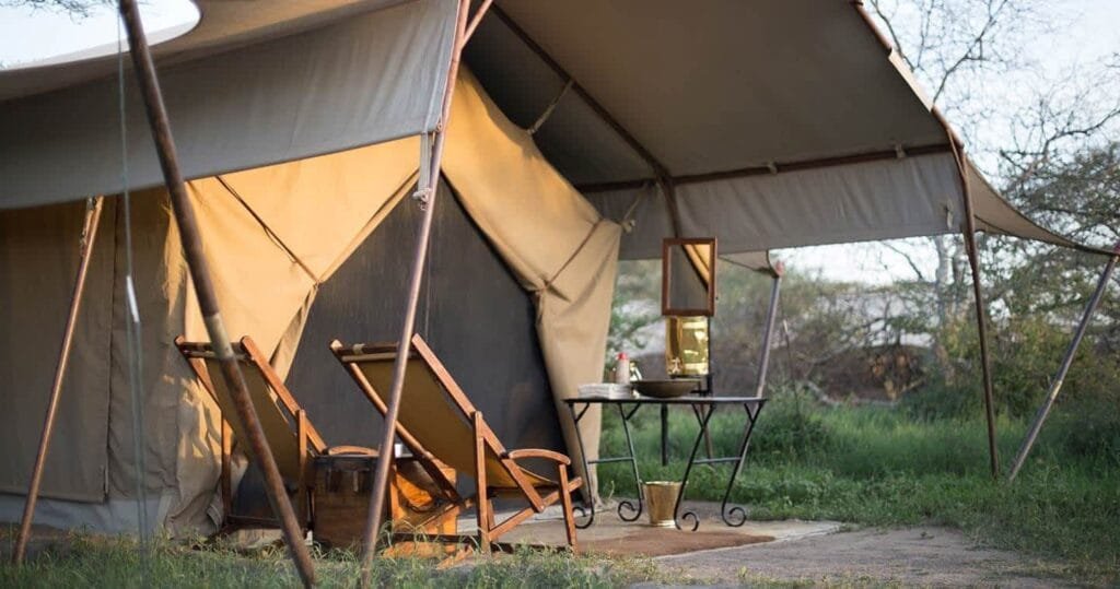Spend Enough Nights in the South - Tanzania safari in December