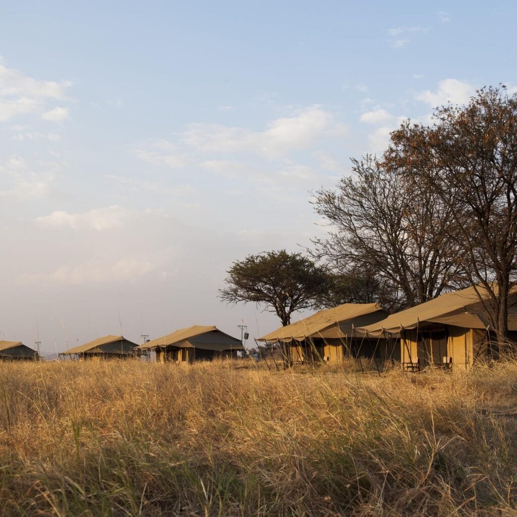 Ndutu Plains - Tanzania safari in March