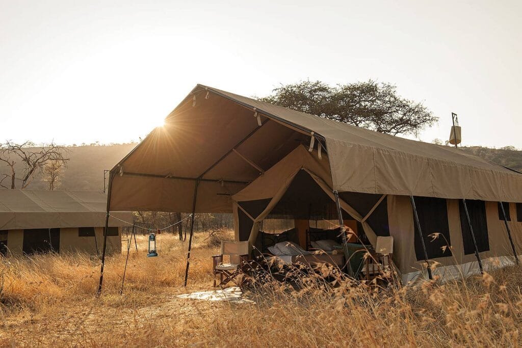 Park and Conservation Area Rules - Serengeti safari in December