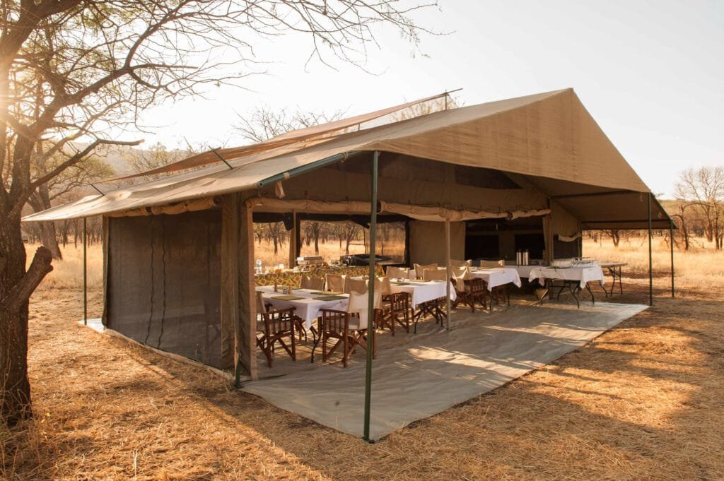 Ndutu Kati Kati Tented Camp - Serengeti safari in January