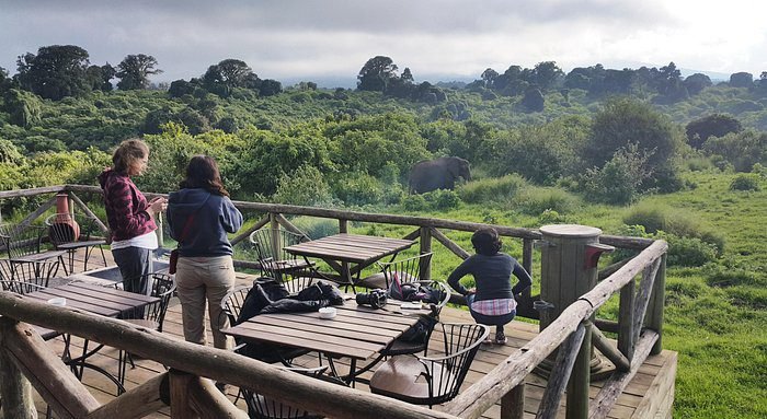 Ngorongoro Rhino Lodge near the Ngorongoro Crater