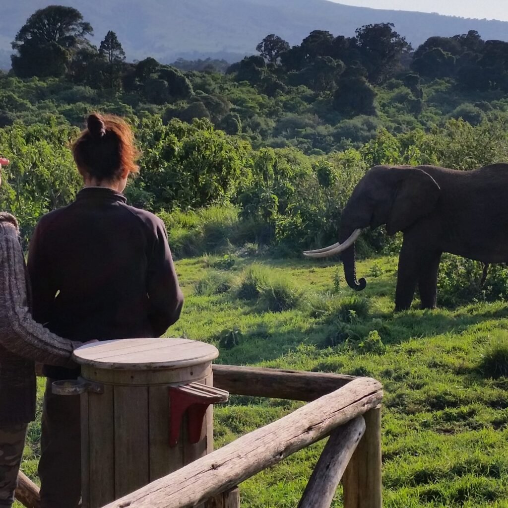 Short Grass for Black Rhino Spotting - Ngorongoro Crater in September