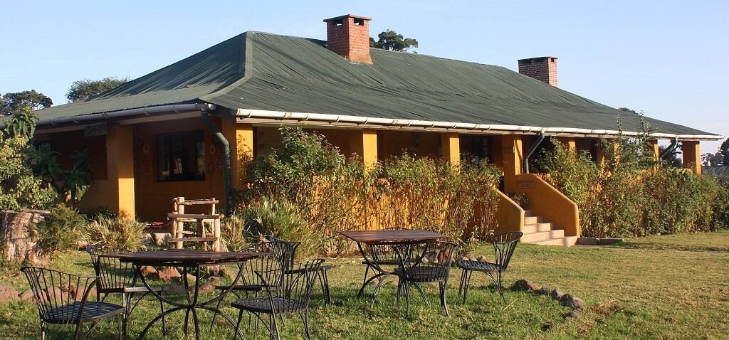 8-Day Tanzania Big Five Luxury Safari - Tanzania safari in October