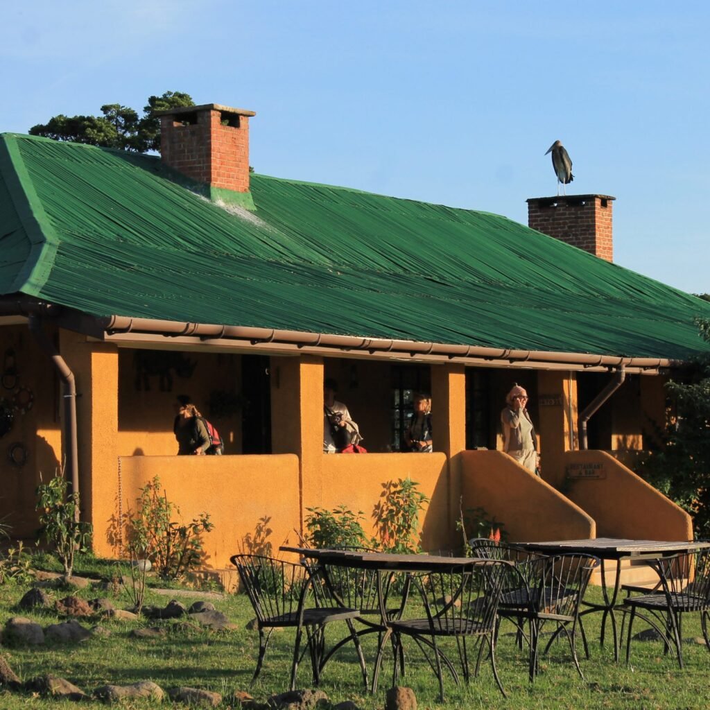 Searching for Black Rhino - Ngorongoro Crater in November