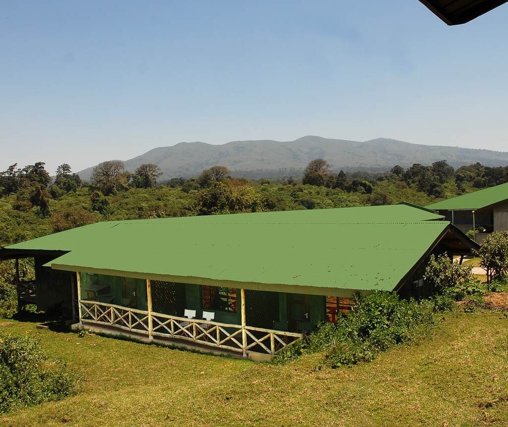 Looking for Black Rhino - Ngorongoro Crater in June