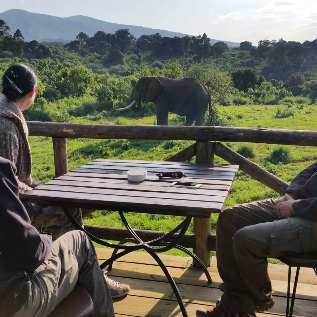 One of the Best Places for Black Rhino - Ngorongoro Crater in March
