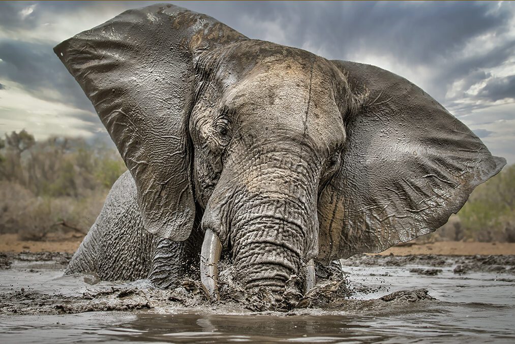 Tarangire National Park